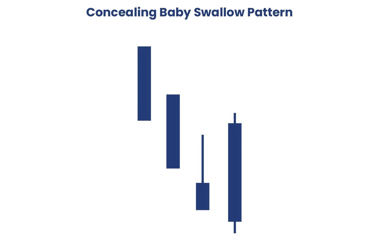 Concealing Baby Swallow Pattern