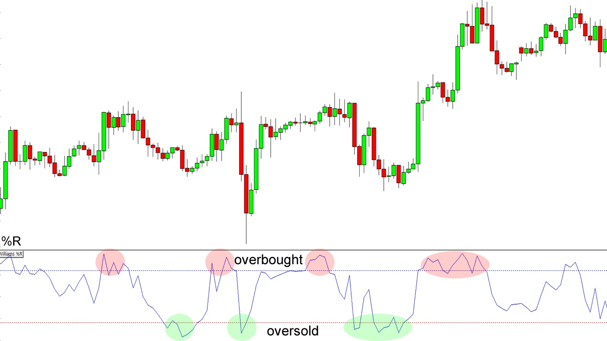 Williams %R indicator showing overbought zone above -20, oversold zone below -80, and midpoint at -50